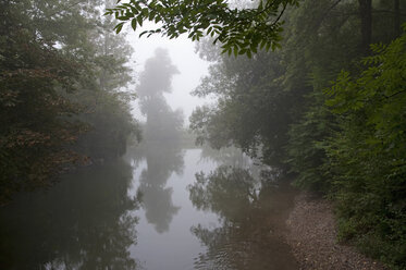 Deutschland, Bayern, Blick auf die Amper mit Morgennebel - MOF000141