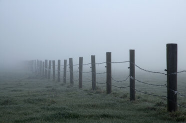 Germany, Bavaria, View of fence with morning fog - MOF000145