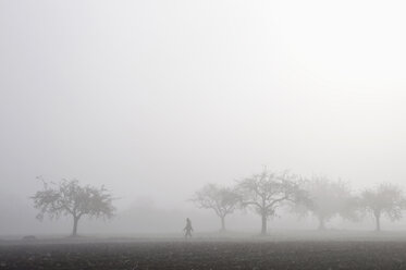 Germany, Bavaria, View of field with morning fog - MOF000147