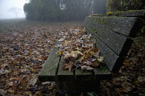 Germany, Bavaria, View of autumn leafs on bench with morning fog - MOF000148