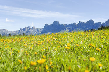 Italien, Dolomiten, Rosengarten, Blick auf ein Feld mit Bergkette im Hintergrund - RNF000557