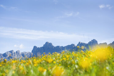 Italien, Dolomiten, Rosengarten, Blick auf ein Feld mit Bergkette im Hintergrund - RNF000558