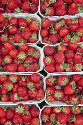 Deutschland, München, Erdbeeren in Kisten auf dem Markt - SKF000407