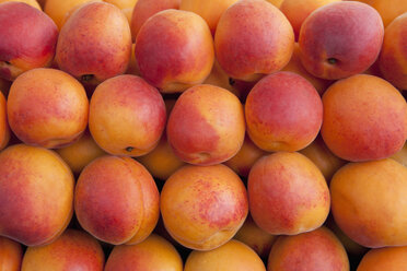 Germany, Munich, Apricots sold at market, close up - SKF000406