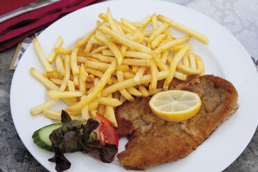 Schnitzel mit Pommes frites im Teller, Nahaufnahme - CSF013667