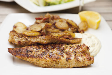 Fried redfish with roasted potatoes and sauce in plate - CSF013675