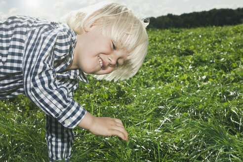 Deutschland, Köln, Junge (2-3 Jahre) macht Handstand auf Gras - WESTF015645