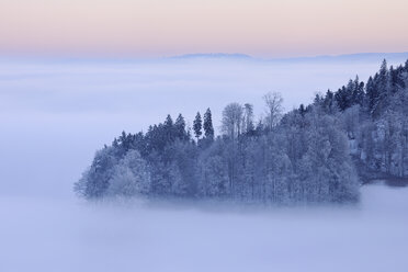 Europa, Schweiz, Kanton Bern, Blick auf Hügel mit Wald in der Morgendämmerung - RUEF000630