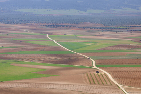 Spanien, Kastilien-La Mancha, Provinz Toledo, Consuegra, Blick auf einen Feldweg, der durch Felder führt - RUEF000604