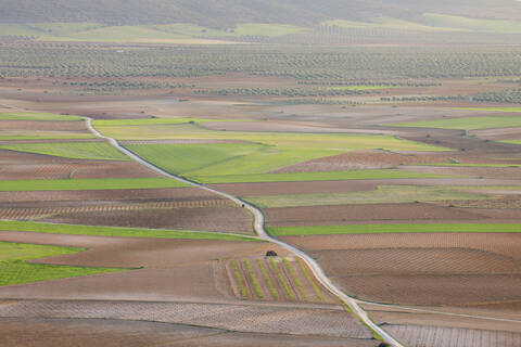 Spanien, Kastilien-La Mancha, Provinz Toledo, Consuegra, Blick auf einen Feldweg, der durch Felder führt, lizenzfreies Stockfoto