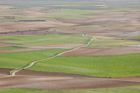 Spain, Castilla-La Mancha, Toledo Province, Consuegra, View of dirt road passing through fields - RUEF000610