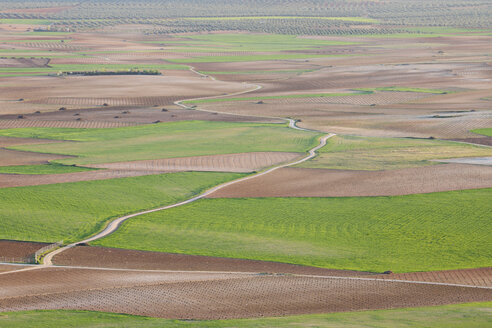 Spanien, Kastilien-La Mancha, Provinz Toledo, Consuegra, Blick auf einen Feldweg, der durch Felder führt - RUEF000610