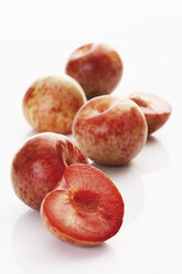 Plum and apricot hybrid, close up - CSF014018