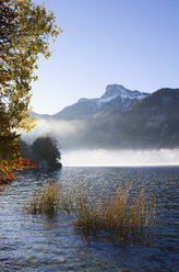 Österreich, Salzkammergut, Blick auf den Mondsee mit Schafberg - WWF001783