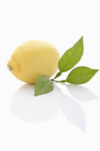 Zitronen auf weißem Hintergrund, Nahaufnahme, lizenzfreies Stockfoto