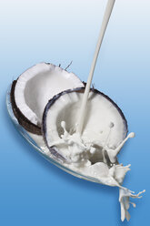 Coconut milk pouring on coconut, close up - CSF014230