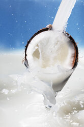 Coconut milk pouring on coconut, close up - CSF014232