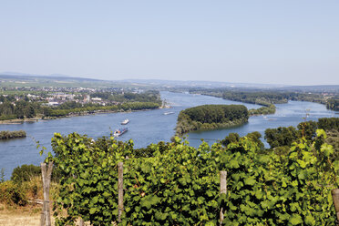 Europa, Deutschland, Rheinland-Pfalz, Blick auf die Rheinschlucht - CSF014219