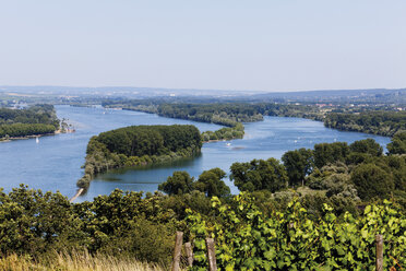 Europa, Deutschland, Rheinland-Pfalz, Blick auf die Rheinschlucht zwischen den Städten Mainz und Bingen - CSF014223