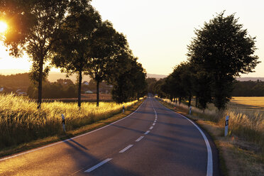 Europe, Germany, Rhineland-Palatinate, View of country road of westerwald - CSF014215