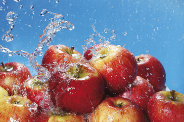 Water splashing on fresh red appples - CSF014236