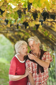 Italy, South Tyrol, Mature couple in vineyard - WESTF015977