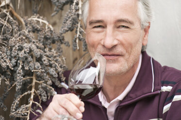 Italy, South Tyrol, Mature man with wine glass, smiling, portrait - WESTF015984