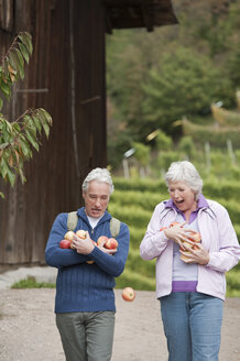 Italy, South Tyrol, Mature couple carrying apples, smiling - WESTF016000