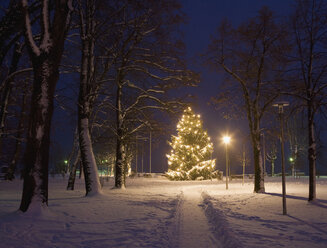 Austria, Salzkammergut, Mondsee, Christmas tree at night - WWF001808