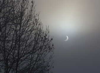 Austria, Salzkammergut, Mondsee, View of solar eclipse in misty winter - WWF001810