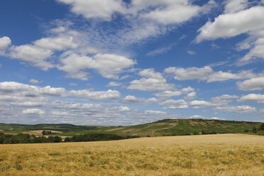 Europa, Deutschland, Hessen, Blick aufs Feld - CSF014329