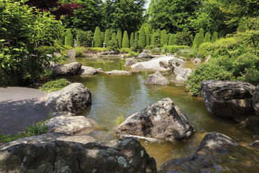 Deutschland, Nordrhein-Westfalen, Bonn, Japanischer Garten - CSF014366