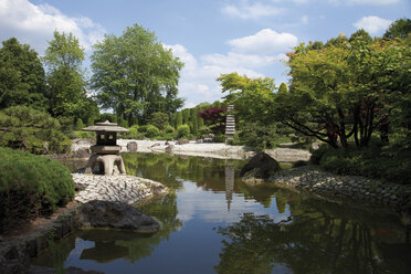 Deutschland, Nordrhein-Westfalen, Bonn, Japanischer Garten - CSF014368