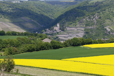 Europa, Deutschland, Rheinland-Pfalz, Blick auf Burg Gutenfels und Rapsfelder - CSF014376