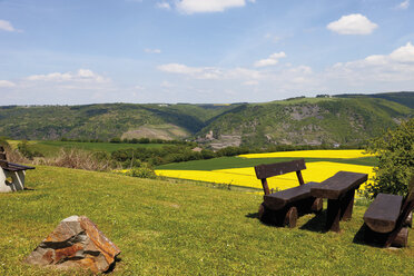 Europa, Deutschland, Rheinpfalz, Blick auf Rapsfelder - CSF014550