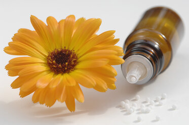 Ringelblume und Medizinflasche auf weißem Hintergrund - CRF002028