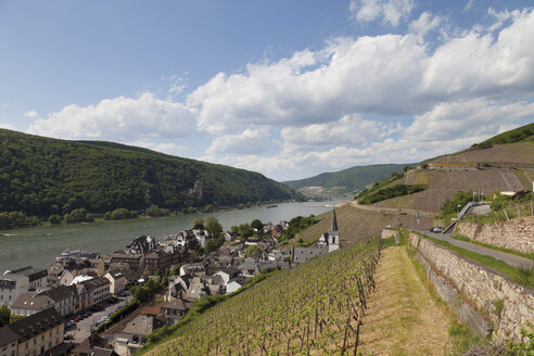 Europa, Deutschland, Rheinland-Pfalz, Blick auf Weinberg mit Schloss und Dorf Assmannshausen im Hintergrund - CSF014557