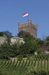 Europa, Deutschland, Rheinpfalz, Bingen, Blick auf Schloss Klopp - CSF014599