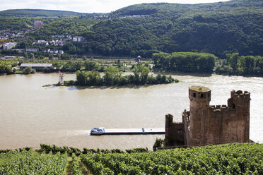 Europa, Deutschland, Hessen, Bingen, Blick auf Burg Ehrenfels und Mäuseturm am Rhein - CSF014613