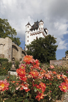 Europa, Deutschland, Hessen, Blick auf die kurfürstliche Burg von Eltville - CSF014618