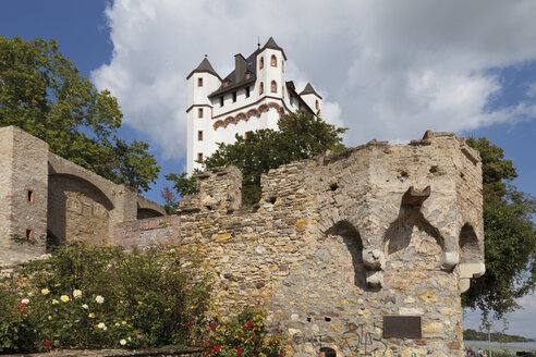 Europa, Deutschland, Hessen, Blick auf die kurfürstliche Burg von Eltville - CSF014619