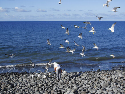 Spain, Canary Islands, La Gomera, Valle Gran Rey, Mature woman feeding seagulls - SIEF000067
