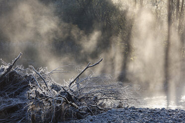 Deutschland, Oberbayern, Geretsried, Isar und Morgennebel - SIEF000071