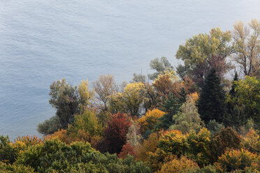 Österreich, Niederösterreich, Wachau, Donau, Blick auf Bäume am Fluss im Herbst - SIEF000094