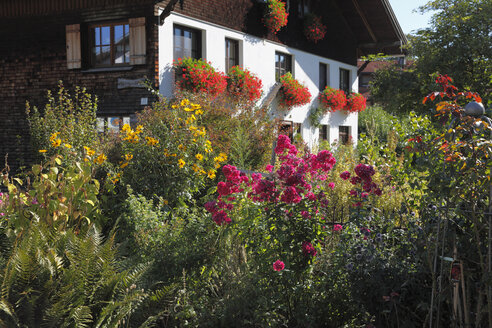 Deutschland, Bayern, Schwaben, Schwaben, Allgäu, Ostallgäu, Blick in den Bauerngarten - SIEF000207