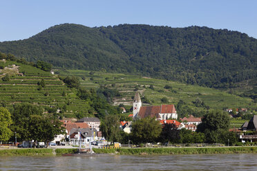Österreich, Niederösterreich, Wachau, Waldviertel, Blick auf Weinberge - SIEF000247