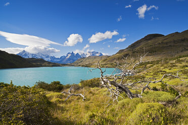 Südamerika, Chile, Patagonien, Blick auf cuernos del paine mit Fluss rio paine - FOF002896