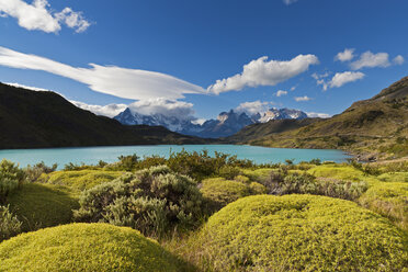 Südamerika, Chile, Patagonien, Blick auf cuernos del paine mit Fluss rio paine - FOF002897