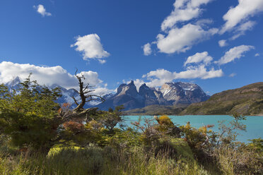 Südamerika, Chile, Patagonien, Blick auf Cuernos del Paine mit Pehoe-See - FOF002906