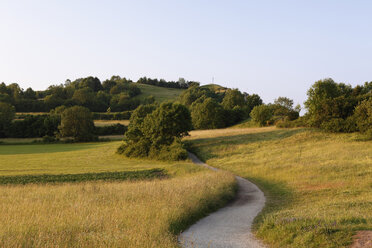 Germany, Bavaria, Franconia, View of ehrenbuerg nature reserve - SIEF000301